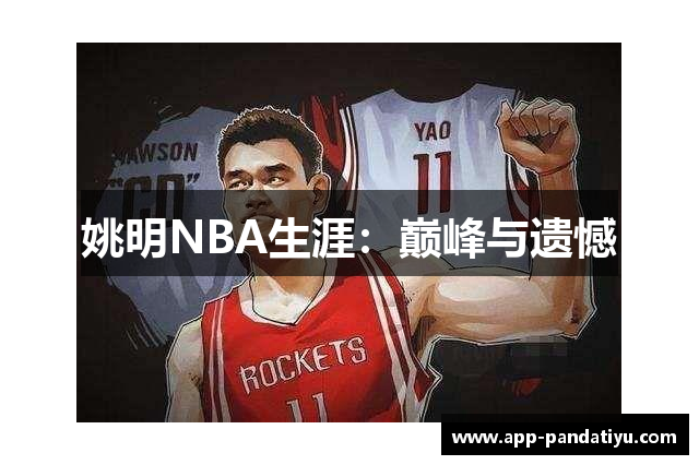 姚明NBA生涯：巅峰与遗憾